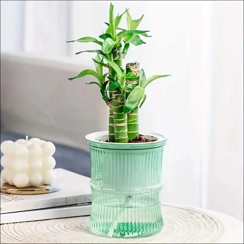 Self Watering Hydroponic Flower Pot Transparent Double Layer Planter