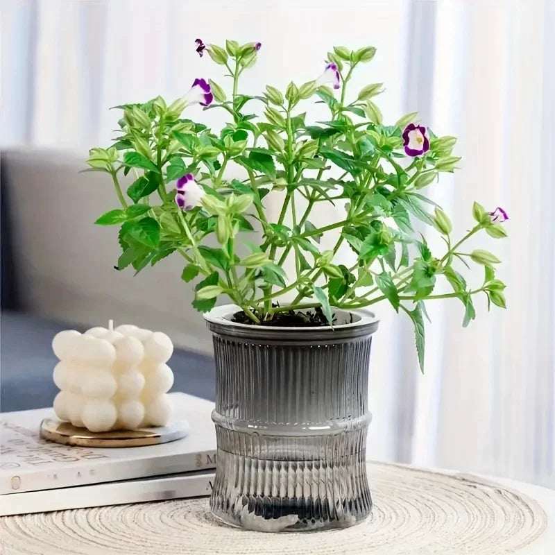 Self Watering Hydroponic Flower Pot Transparent Double Layer Planter