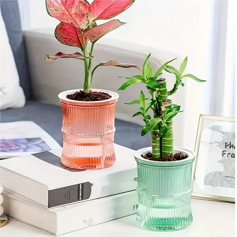 Self Watering Hydroponic Flower Pot Transparent Double Layer Planter